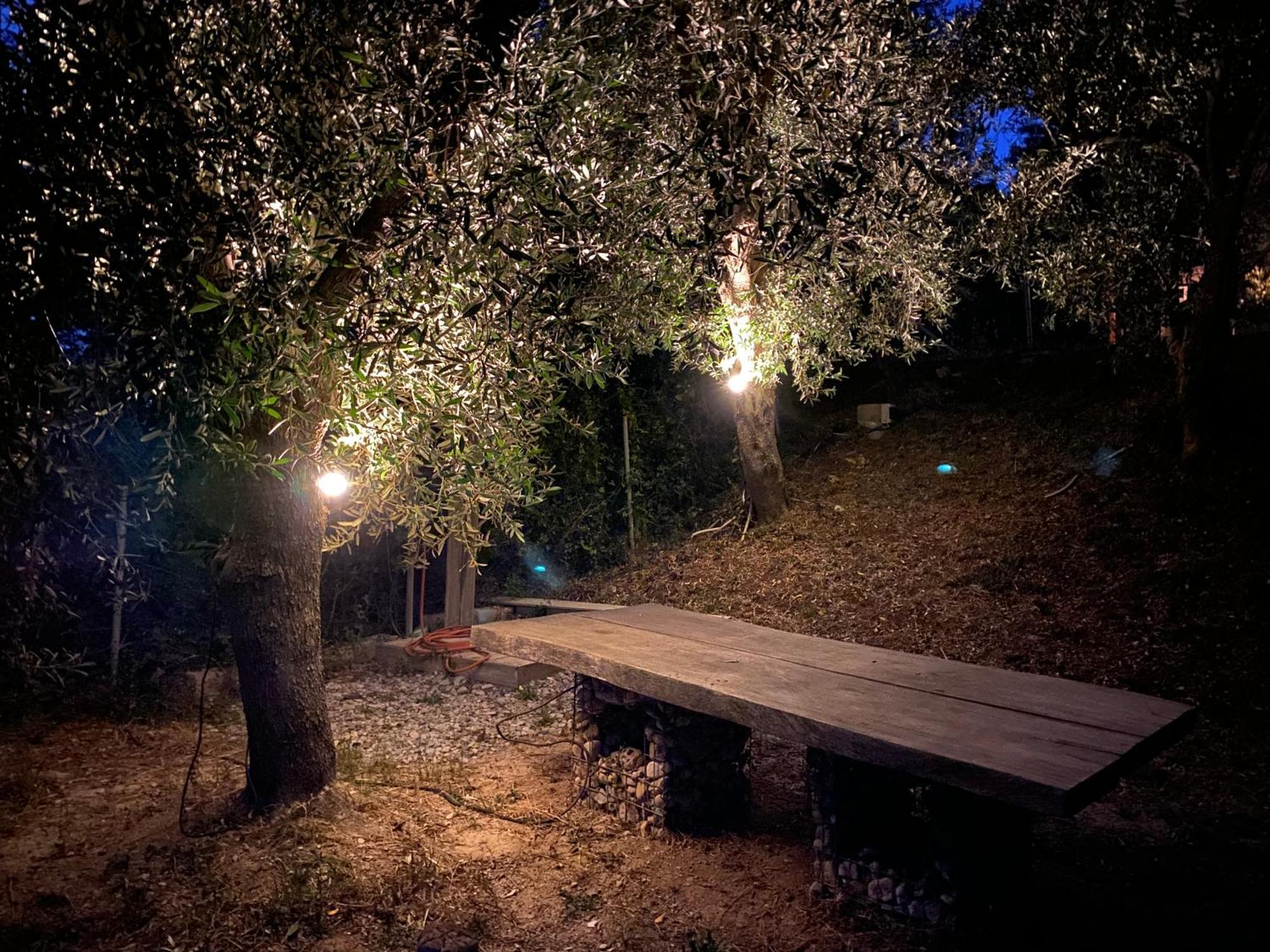 Askalosia Villa アイオス・ゲオルギオス エクステリア 写真